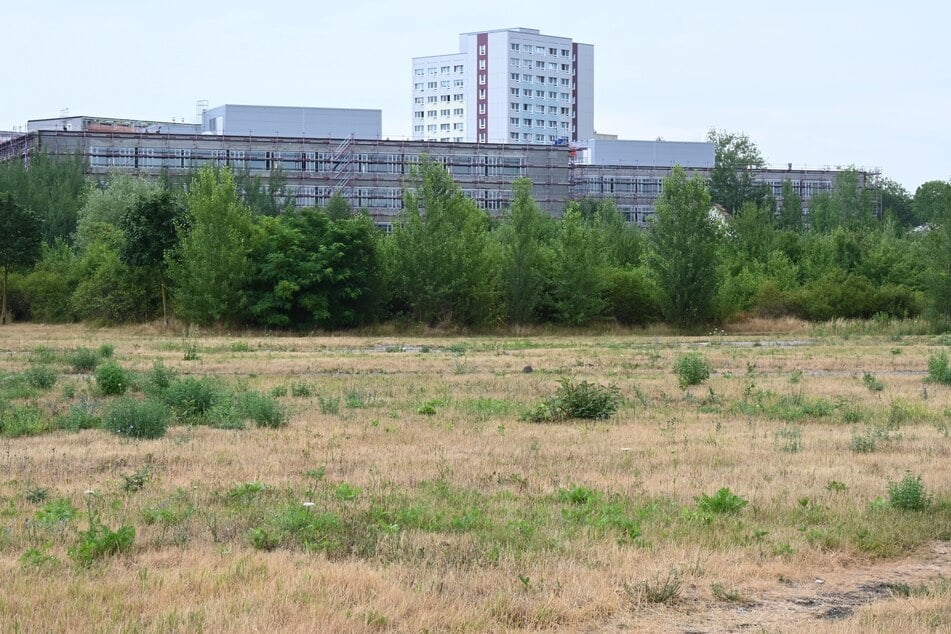 So sieht das Areal aktuell aus: Die Fläche von der Semmelweisstraße bis hin zum Portikus des Bayrischen Bahnhofs soll künftig Wohnraum sein.