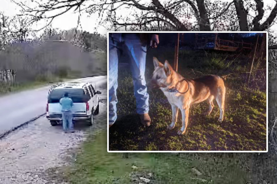 Mann lässt Schäferhund am Straßenrand zurück: Überwachungskamera nimmt alles auf!