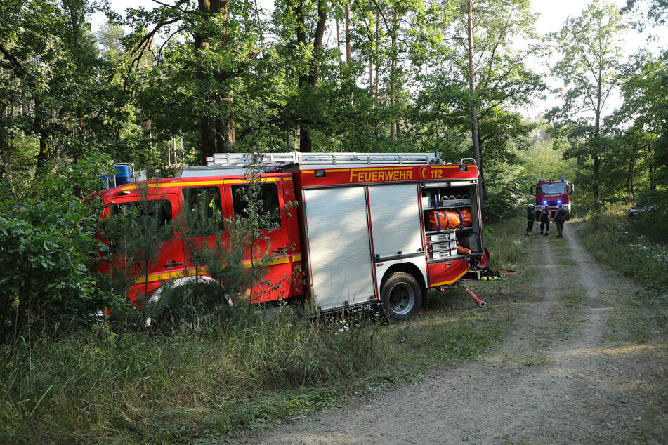 Bereits Mitte Juli kam es in der Dresdner Heide zu einem Waldbodenbrand.