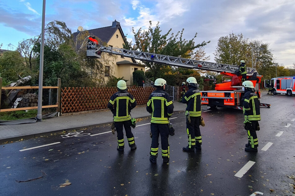 In Leipzig krachte ein Baum in ein Wohnhaus.