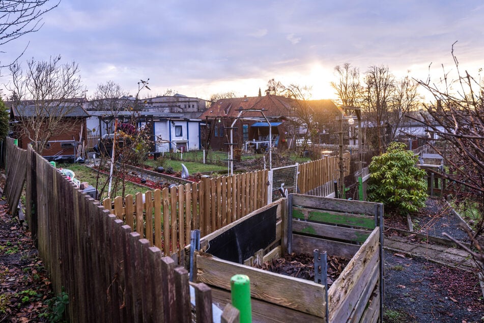 Die Kleingartenanlage in der Peter-Schmohl-Straße war besonders oft betroffen