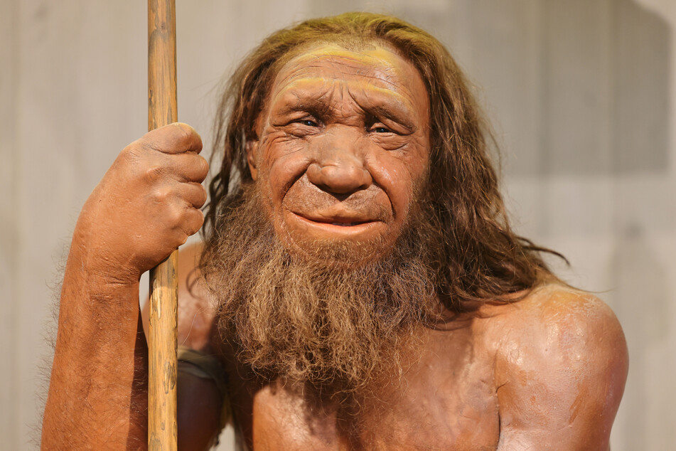 Neue Erkenntnisse zum Familienleben der Neandertaler: Leipziger Forscher entschlüsselten 13 Genome von einer sibirischen Neandertalergruppe. (Symbolbild)