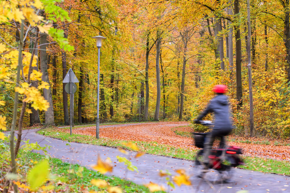 Passanten entdeckten die selbst gebaute Absperrung. (Symbolfoto)