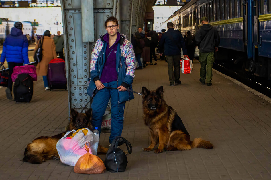 A refugee from Mariupol traveling with her dogs to the Lviv train station, where they will hopefully soon leave Ukraine.