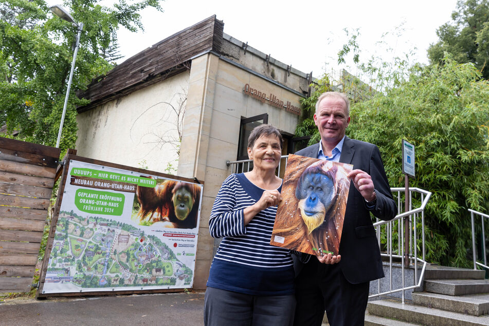 Zoodirektor Karl-Heinz Ukena (52) und Martina Berg (72) sammeln weiter Spenden für das neue Orang-Utan-Haus im Dresdner Zoo.