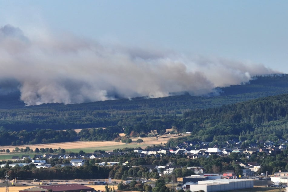 Die Flammen bahnen sich Meter für Meter ihren Weg durch das betroffene Einsatzgebiet.