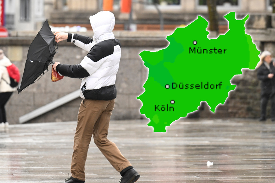 Mit bis zu 120 Kilometern pro Stunde sollen am Donnerstag Sturmböen auch über die Kölner Domplatte hinwegfegen.