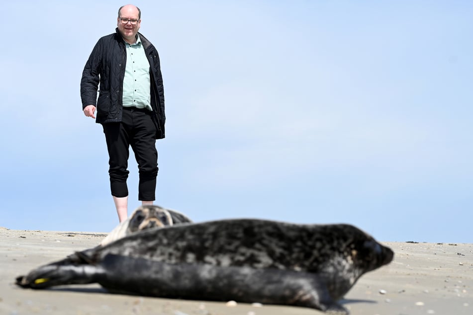 Christian Meyer (51, Bündnis 90/Die Grünen) ist Minister für Umwelt, Energie und Klimaschutz in Niedersachsen. (Archivfoto)