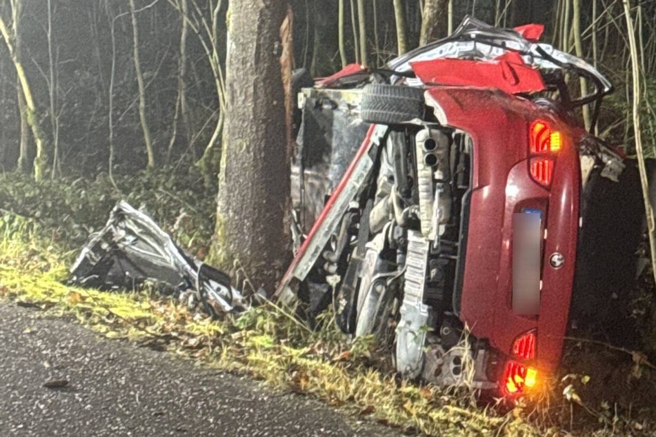 In einem Waldstück kam der BMW von der Straße ab.