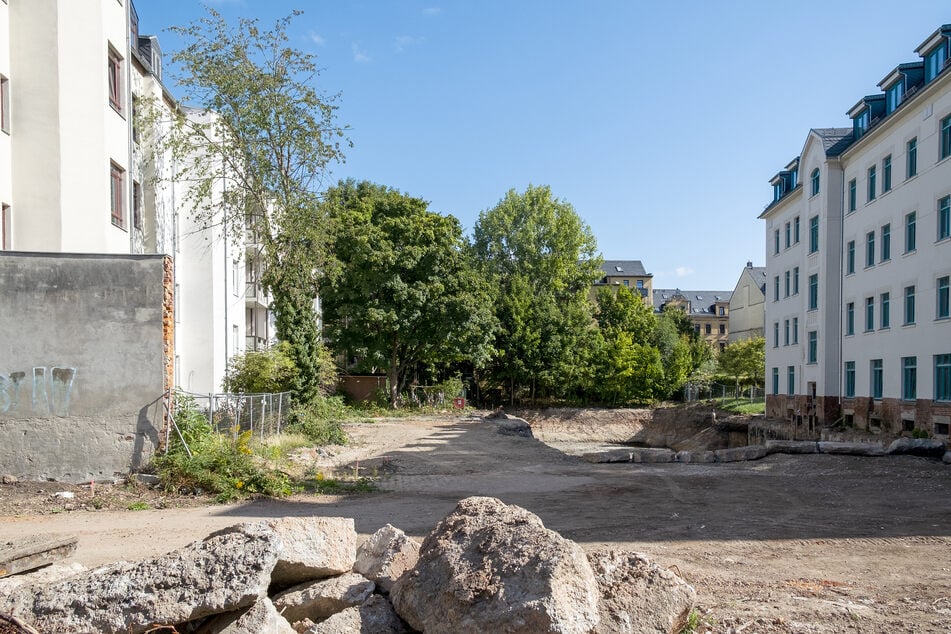 Am Montag kämpften Anwohner für den Erhalt eines 100 Jahre alten Ahorns in der Further Straße.