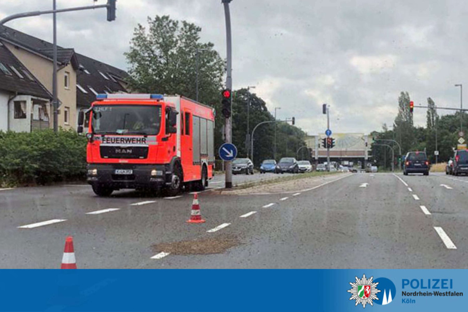 Am Montag war ein Bienenvolk mitten auf der Siegburger Straße in Köln-Poll gelandet.