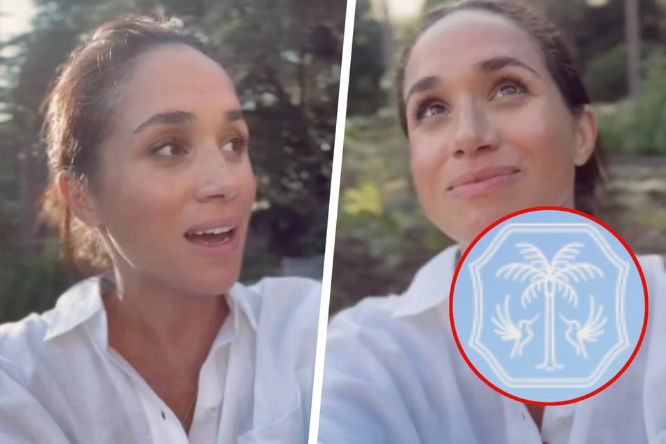 Meghan Markle's new lifestyle brand logo sparks plagiarism accusations!