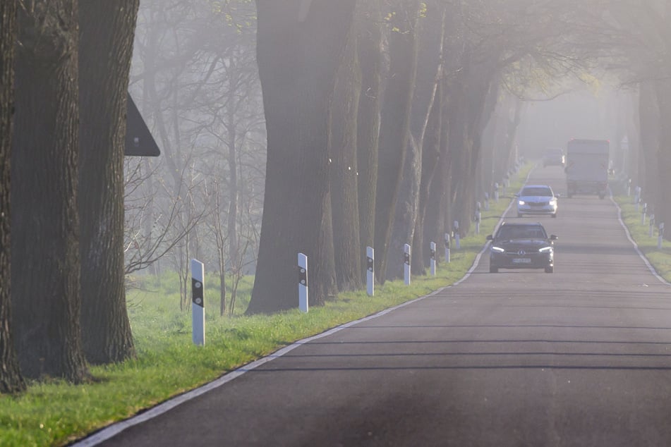 Mitsubishi kracht gegen Baum: Am nächsten Morgen finden Anwohner eine Leiche im Garten