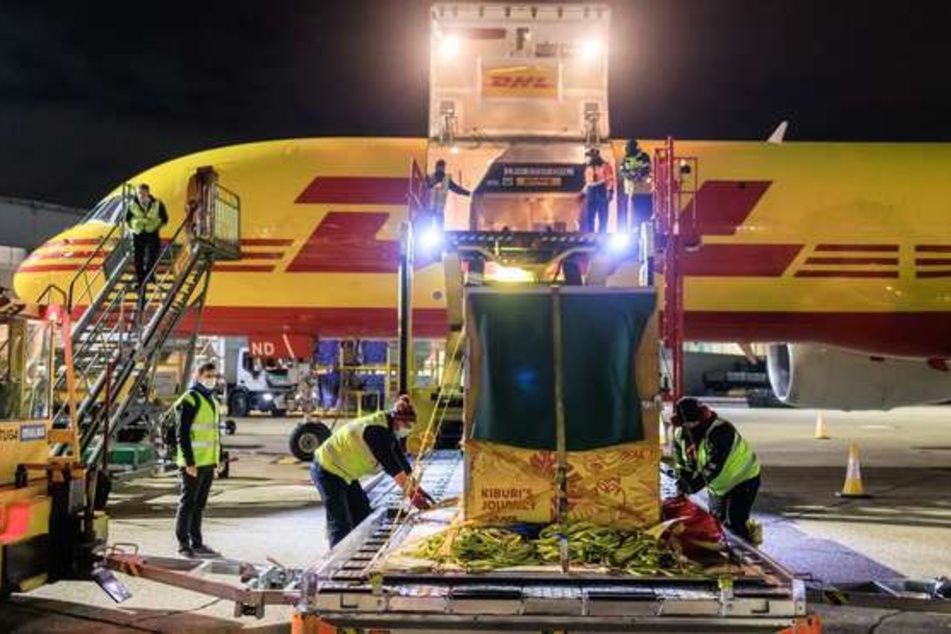 Am 18. November kam die DHL-Maschine mit dem Gorilla an Bord in London an.