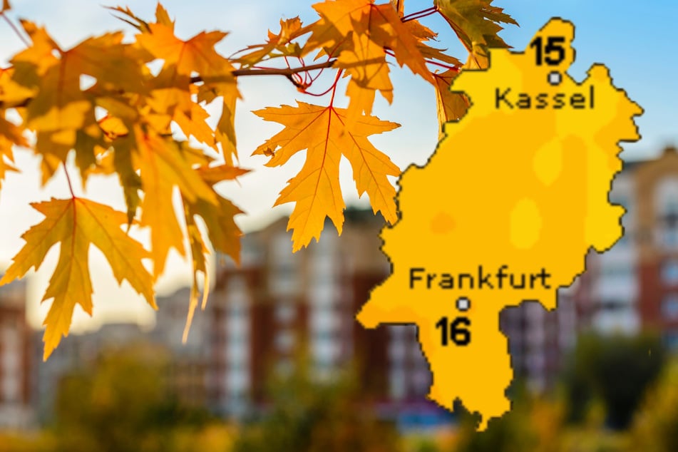 Herbst-Wetter in Frankfurt und Hessen: So wird das Wochenende