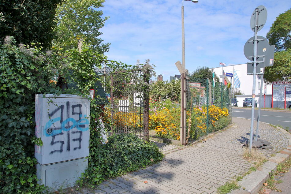 An der Hofmühlenstraße wollte das Pärchen sich mit frischen Pflanzen eindecken.
