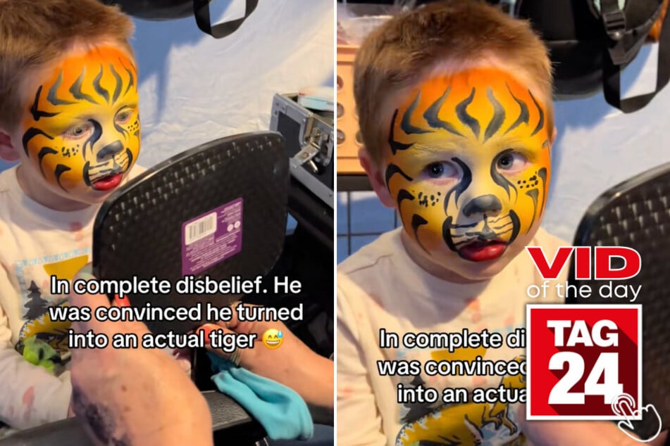This little boy was convinced he turned into a real tiger after getting his face painted!
