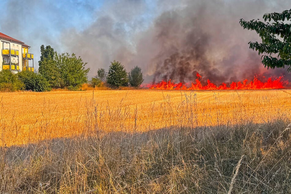Den Einsatzkräften gelang es, das Feuer noch vor den Hauswänden zu stoppen.