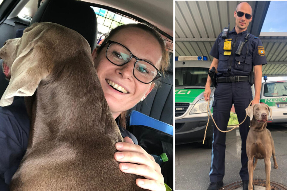 Hund begibt sich in Lebensgefahr: Polizei sorgt für Happy End