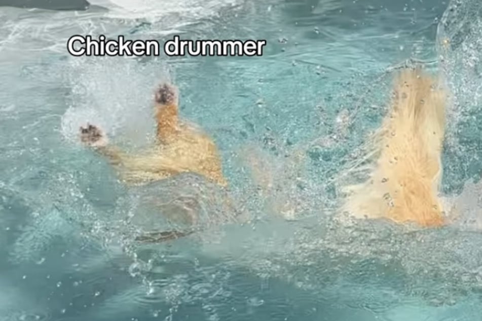 ... jednoduše pod jejich bratrem pohřbený.