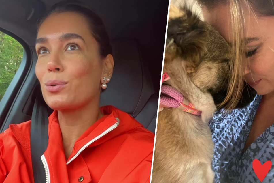 Jana Ina Zarrella erlebt großen Schock mit Hund: "Ich bin so am Zittern"