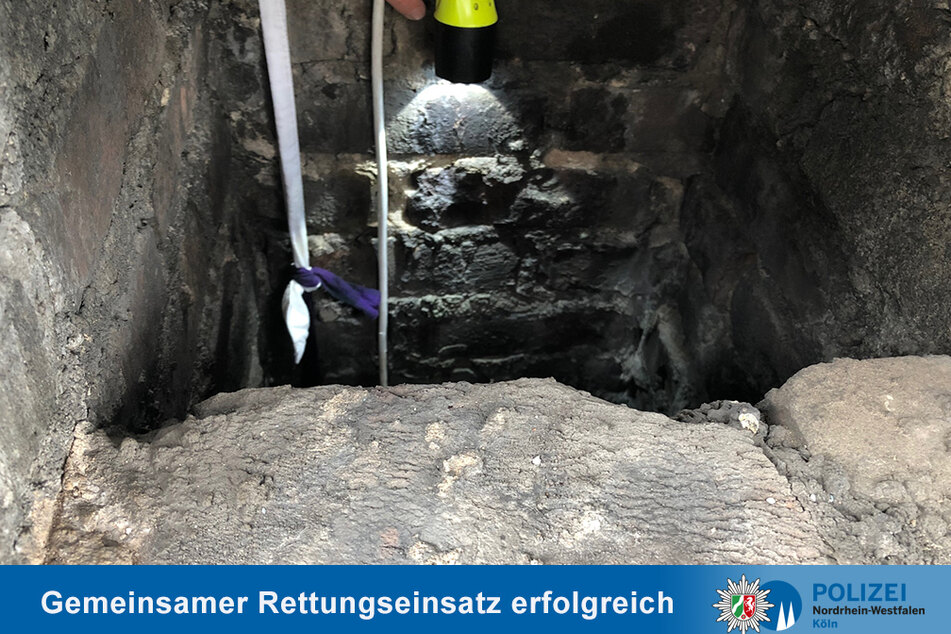 Die Katze wurde aus einem zehn Meter tiefen Kaminschacht gerettet.