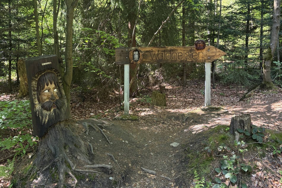 Am Waldgeisterweg gibt es zahlreiche Fabelwesen zu entdecken.