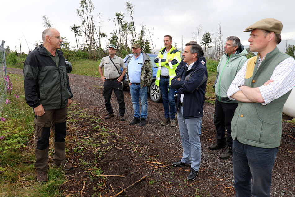 Die Mitglieder des Krisenstabs Wald des Landkreises Harz haben die Rückmeldung gegeben, dass die Aufforstung erfolgreich ist.