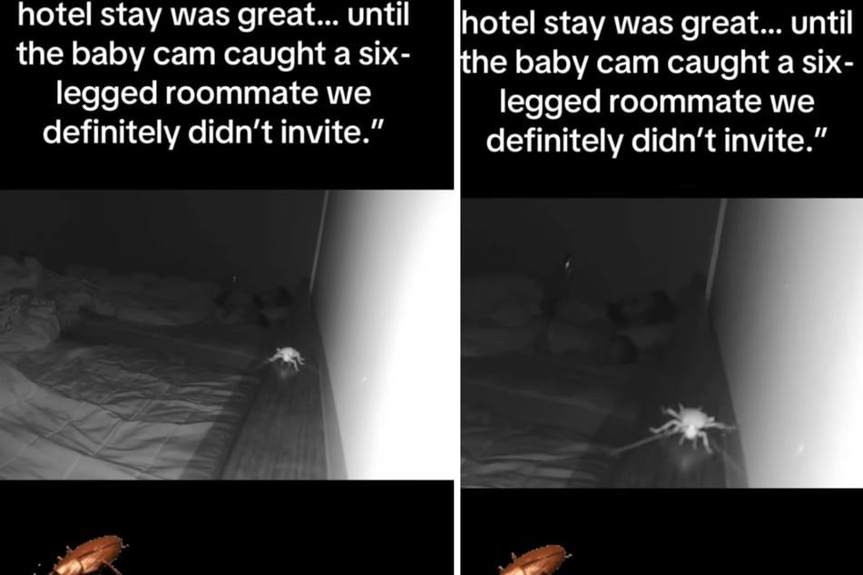 Když otec a syn leží v posteli uvolněně, přelézá je po nich šestnohý hmyz.