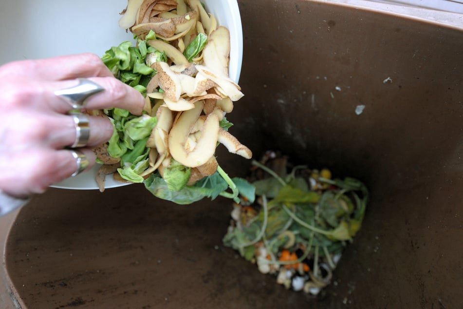Biologisch abbaubare Abfallbeutel sorgen für Ärger bei Müllunternehmen