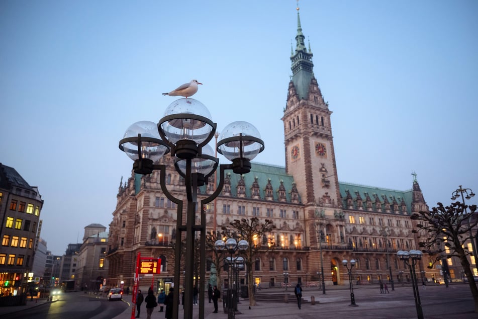 Am Hamburger Rathausmarkt soll am Dienstagmittag eine Aktion von "Vier Pfoten" stattfinden. (Symbolfoto)