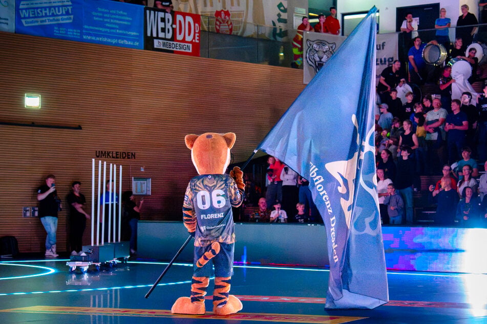 Ab 16 Uhr bebt die BallsportARENA Dresden.