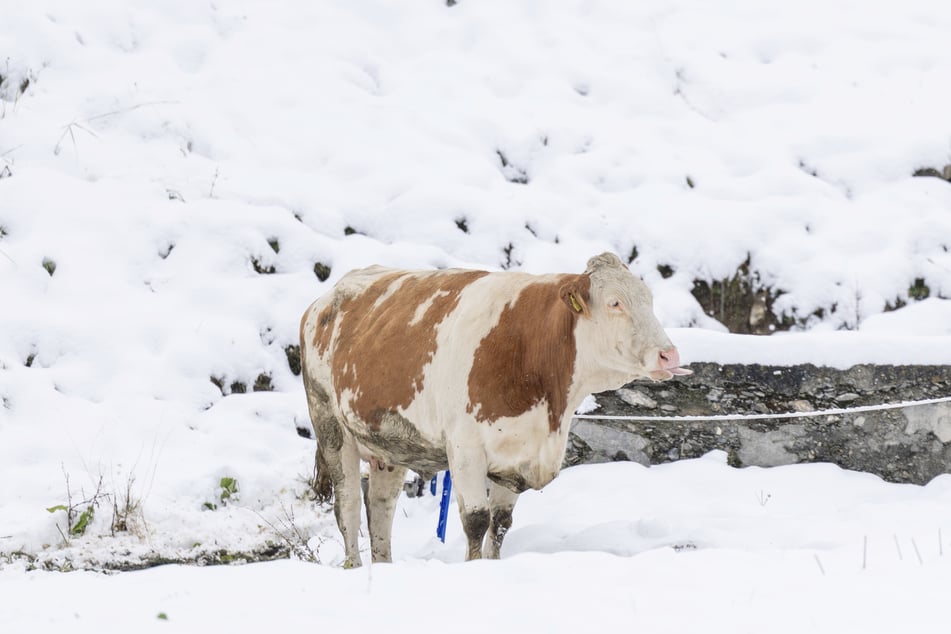 Während vor einer Woche in Österreich noch bestes Spätsommer-Wetter vorherrschte, hat nun vielerorts bereits der Winter Einzug gehalten.