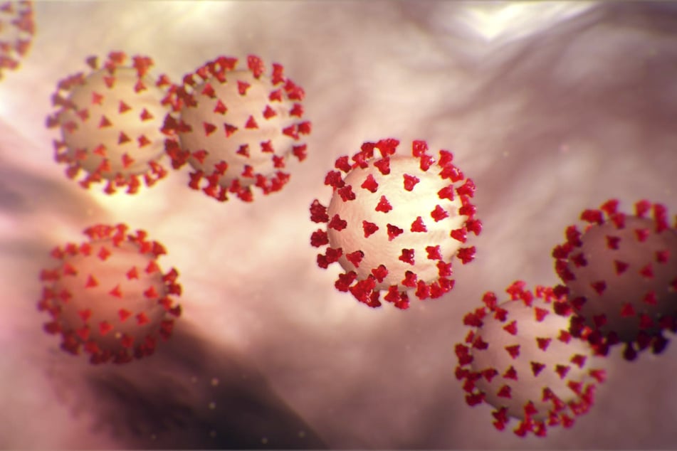 Eine Visualisierung des Coronavirus.
