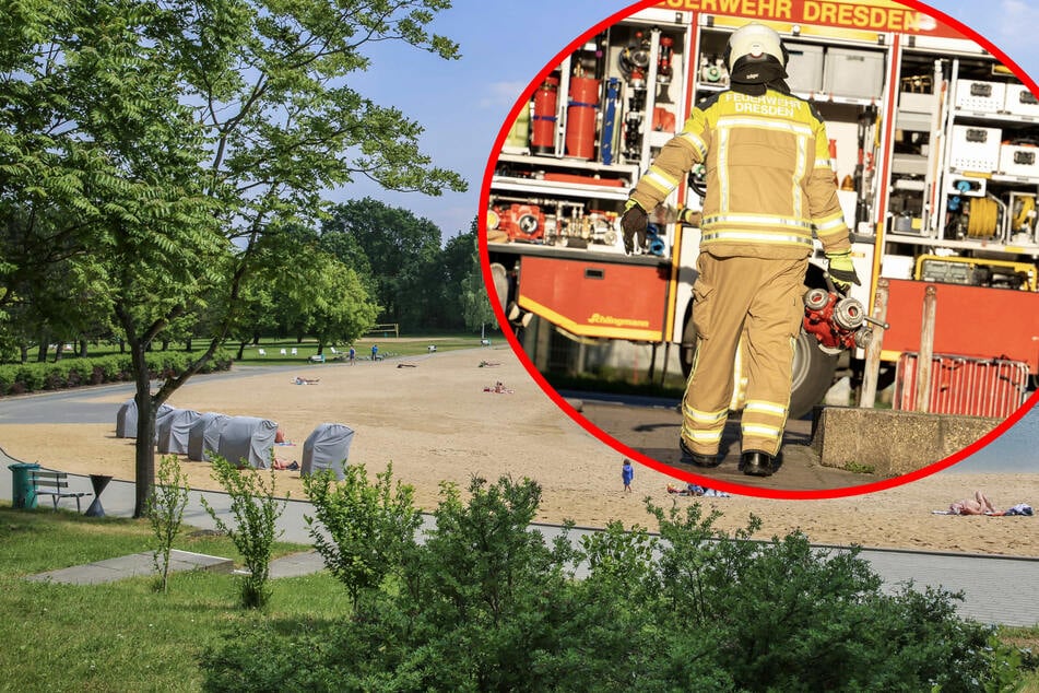 Dresden: Waldstück bei Freibad in Flammen - Schreck unter den Einsatzkräften