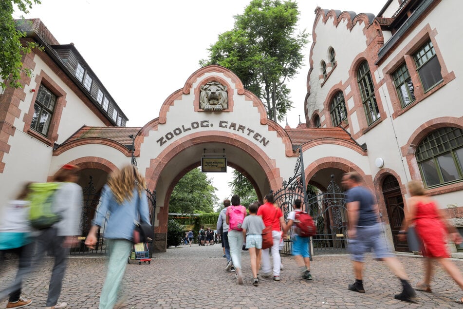 Der Zoo Leipzig möchte mit verschiedenen Projekten zum Artenschutz beitragen. (Archivfoto)