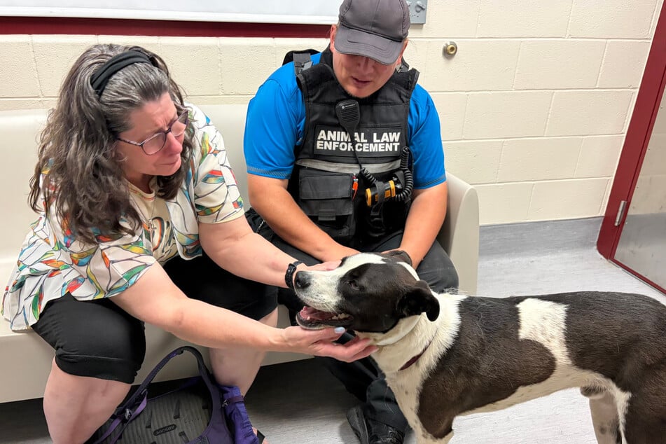 Carrie Woodruff ist heilfroh, Ruger endlich wieder in die Arme schließen zu können. Auch der Hund scheint nicht abgeneigt zu sein, wieder in ruhigere Gewässer zu wechseln.