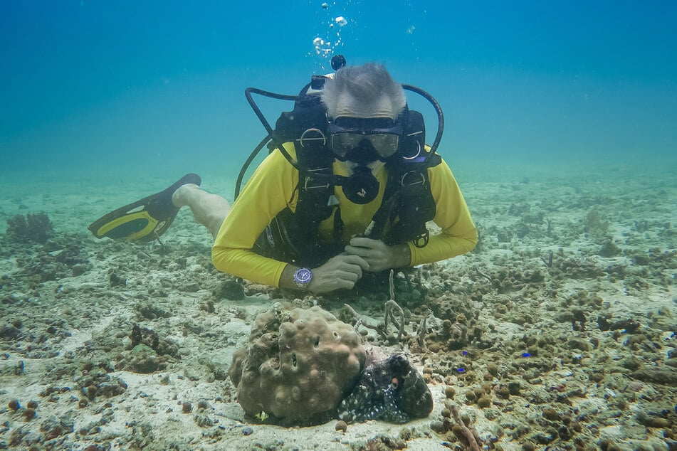 Jaenicke setzt sich mit seiner Organisation "Pelorus Jack Foundation" für den Erhalt der maritimen Umwelt ein.