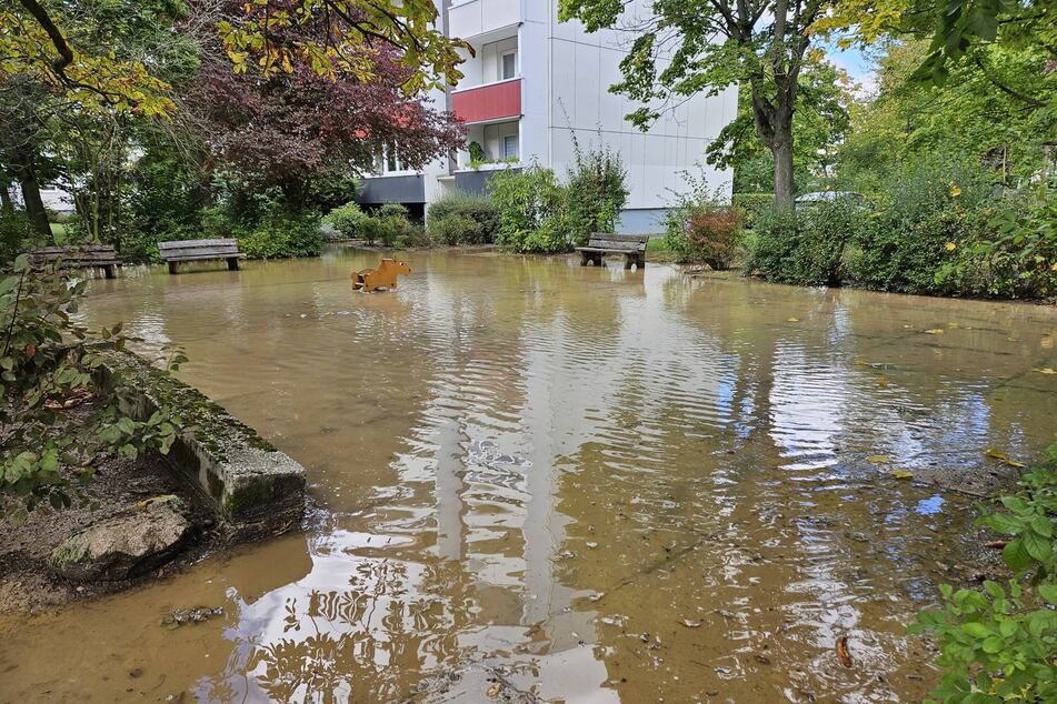 Laut Wasserwerken waren rund 10.000 Haushalte vorübergehend ohne Wasser. Eine angrenzende Parkanlage wurde überschwemmt.