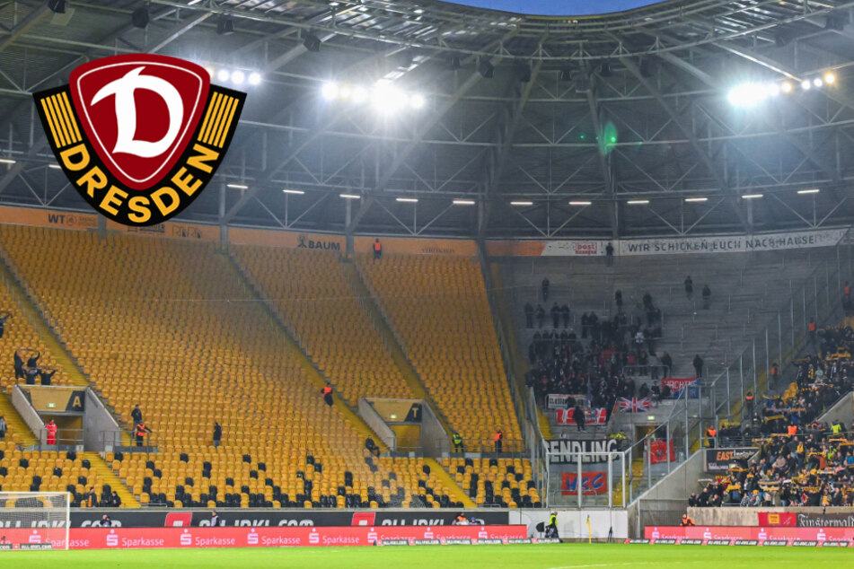 Für mehr Heim-Fans: Dynamo lässt Harbig-Stadion umbauen