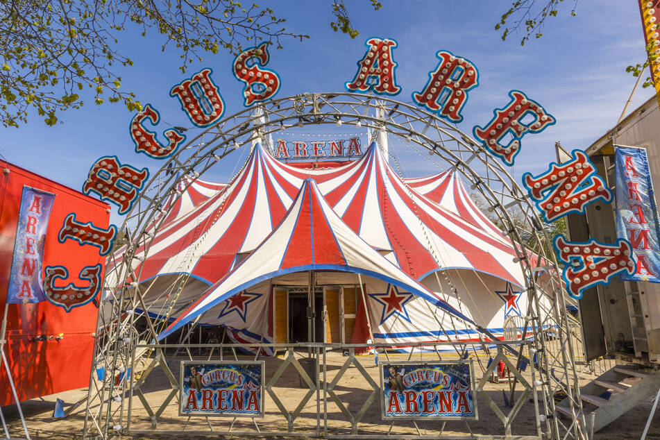 Der Zirkus begeistert nicht nur durch seine Show - er wurde zum immateriellen Kulturerbe Deutschlands.