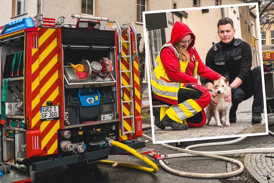 Brand in Mehrfamilienhaus: Hoher Schaden, Sanitäterin und Polizist retten ausgebüxten Hund!