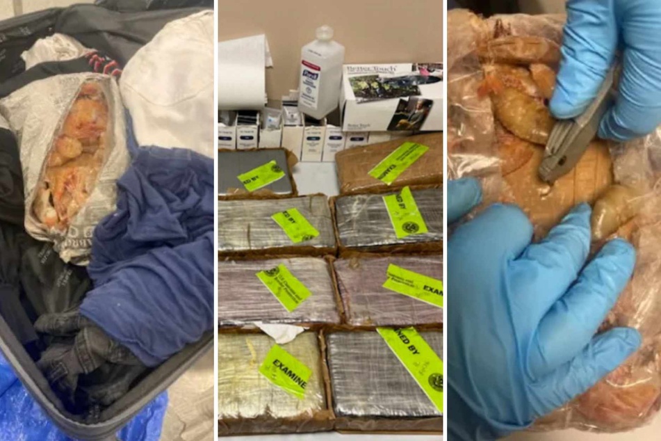 Feds busted a man at New York's JFK Airport on charges of trying to smuggle more than 18 kilograms of cocaine inside bags of frozen jumbo shrimp.
