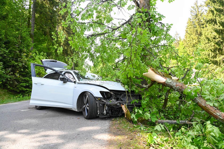 Kastanie bricht bei Unfall im Erzgebirge ab: Fahrerin verletzt