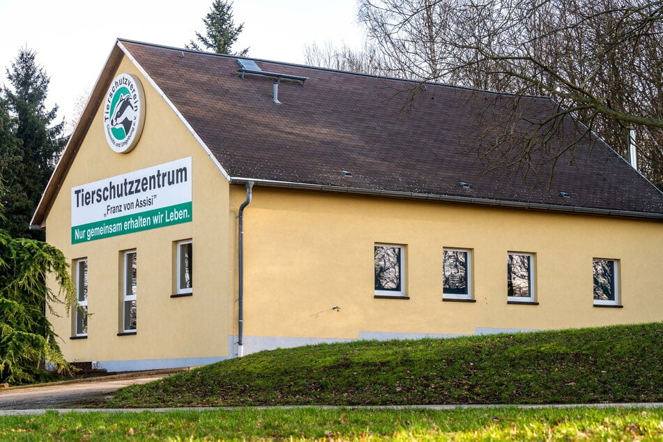 Das Chemnitzer Tierheim am Pfarrhübel.