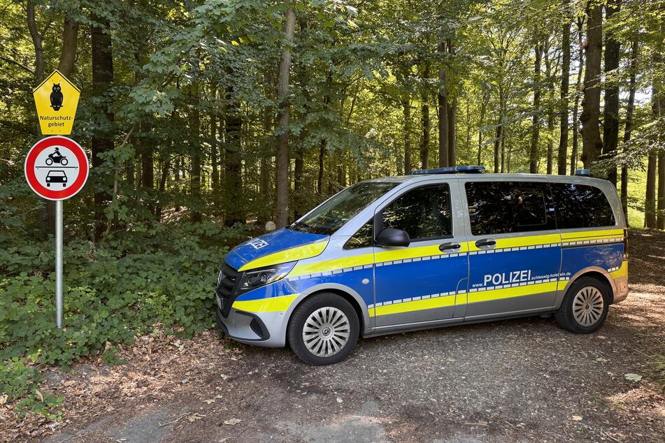 Die Polizei sucht erneut das Waldstück ab, in welchem der männliche Torso entdeckt wurde. (Archivbild)
