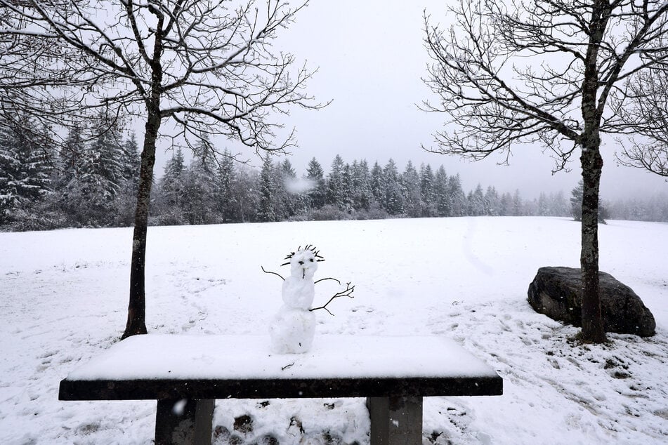 Ob Deutschland diesen Winter mehr Glück mit dem Schnee haben wird? (Symbolfoto)