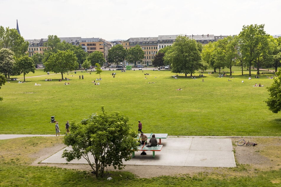 Der Dresdner Familienlauf wird in diesem Jahr im Alaunpark stattfinden.