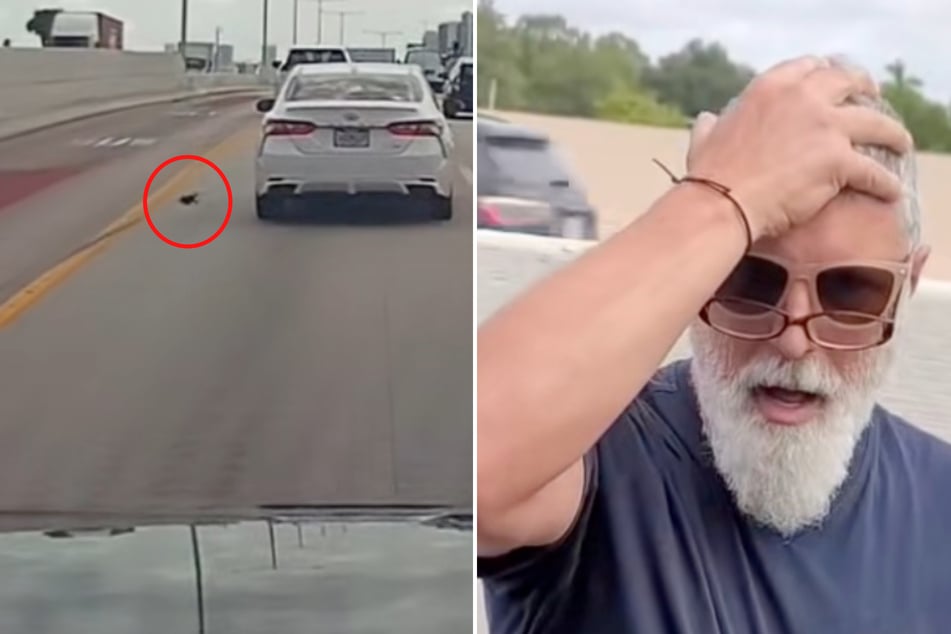 Wat voor zwart wezen was dat op de straat? Franco Blanco stond sprakeloos toen hij het had ontdekt.