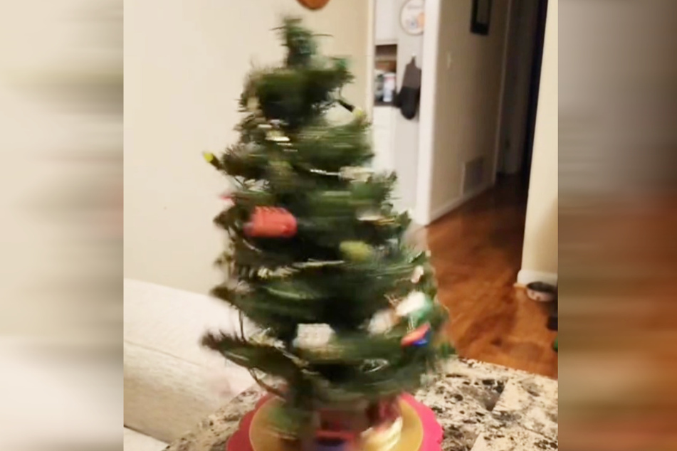 Zack: Plötzlich dreht der Weihnachtsbaum durch.